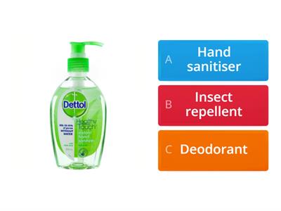 ESOL Int School camp