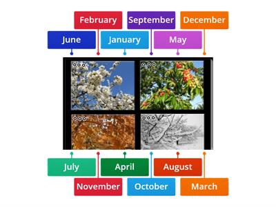 Spotlight 5 Module 7 Months/seasons