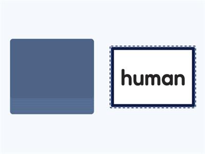 Open and closed syllable