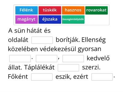 A süni Írd be a hiányzó szavakat a megfelelő helyre ! 