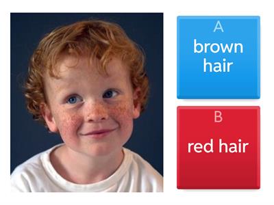  ZAVAMA  toddlers Physical description 