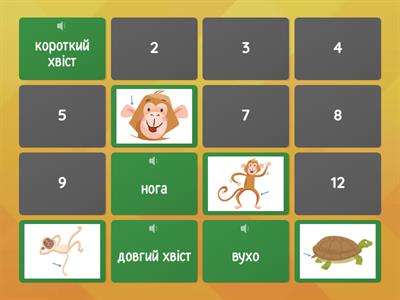 Частини тіла