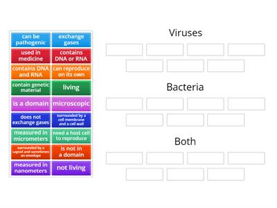  Compare and Contrast Viruses and Bacteria