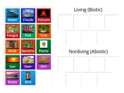 Living vs Nonliving review