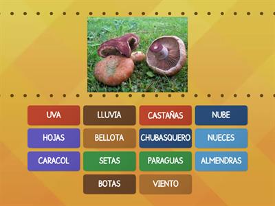 EL OTOÑO. VOCABULARIO