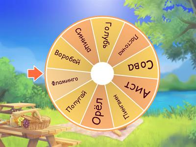 Птицы для дошкольников