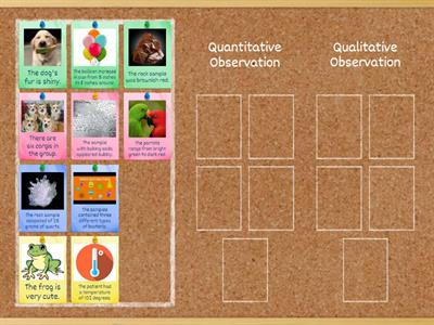Qualitative vs Quantitative Observations
