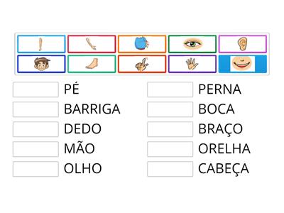  PARTES DO CORPO HUMANO