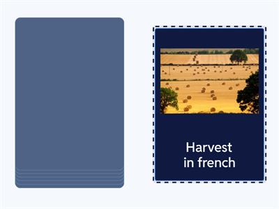 Les fetes dans le monde