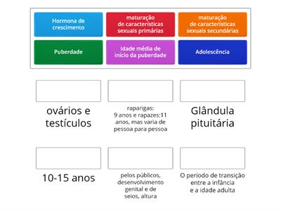 Desenvolvimento Físico -Cópia de Match up: Physical Development in Adolescence