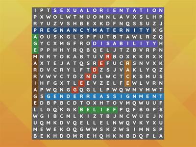 Protected Characteristics Wordsearch