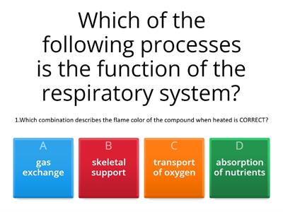 Respiratory System and Circulatory System Working Together