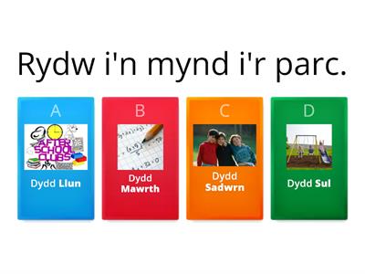 Dyddiadur wythnos Tyler -cwis