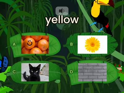 The Colors Quiz