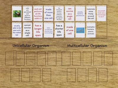 Unicellular vs. Multicellular Organisms