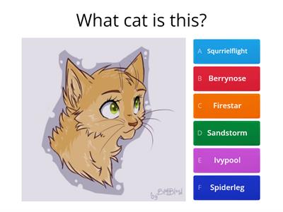 Warrior Cats Quiz