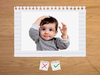 Picture Pop Quiz - Grade 1