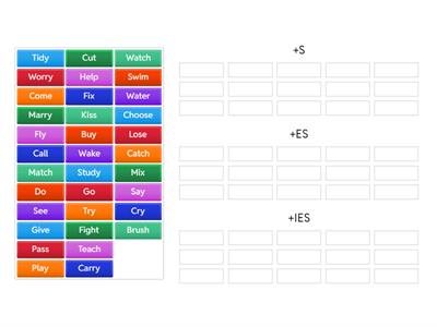 Present simple (AFFIRMATIVE)!