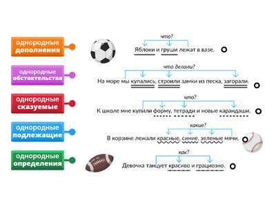 Однородные члены предложения