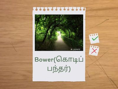 A Thing of Beauty-Glossary