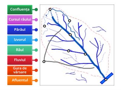 Tipuri de ape curgătoare