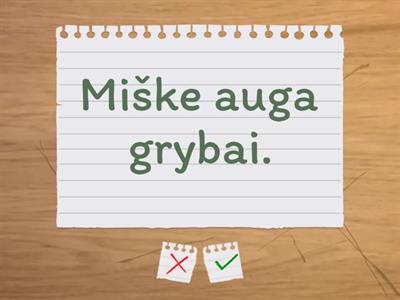 Užduotis teksto suvokimui