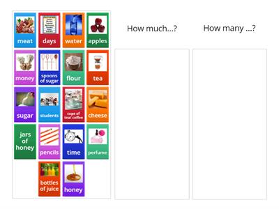 SPEAKOUT elementary: much / many 