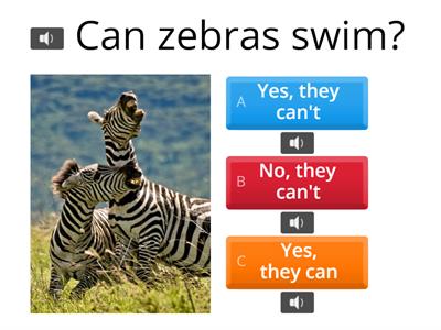 A1. Can/Can't : Abilities