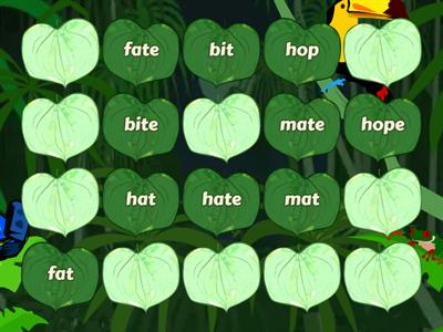 match the silent e to its cvc pair. 