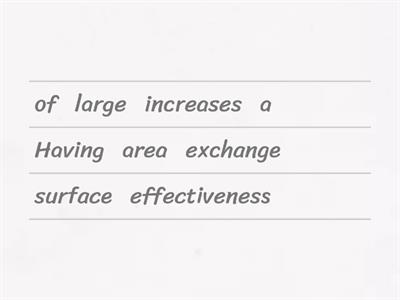 Exchange surfaces