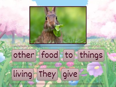 Plants and the environment