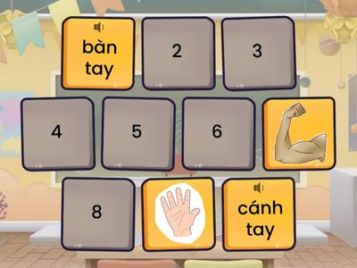 Bộ phận các chi trên - upper limbs