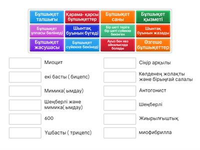 Шығыңқы емізікшелер