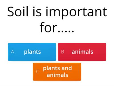 6.03 Soil