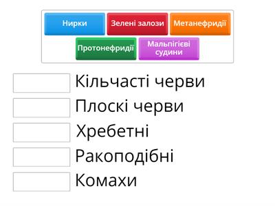 Органи виділення