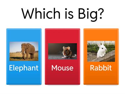 Big and small Animals