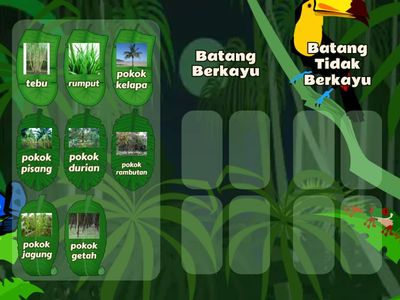 Tumbuhan  Berkayu dan Tidak Berkayu