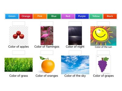 Unit 4: Colors Vocabulary Matching