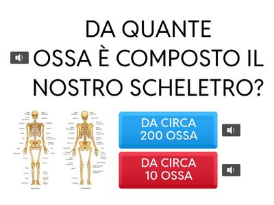 VERIFICA DI SCIENZE MOTORIE