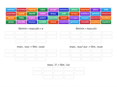 Le féminin des adjectifs (Dis Donc 7E - U2)