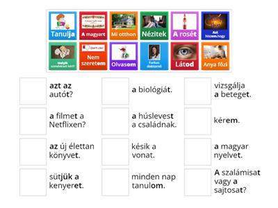 Verb conjugation (present, definite)
