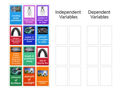  Independent and Dependent Variables Practice