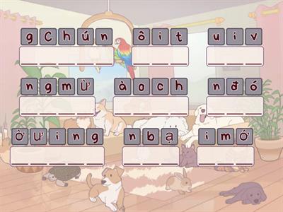 Đảo chữ - Ngô Nương (Lớp 8)