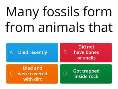 Fossils