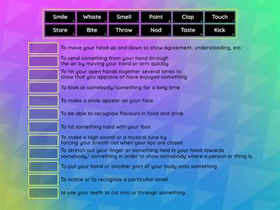 Senior 5 - Body Verbs