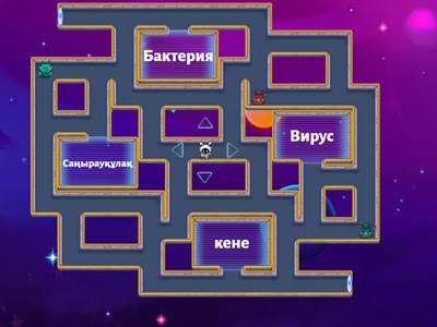 Тері аурулары лабиринт 8 кл