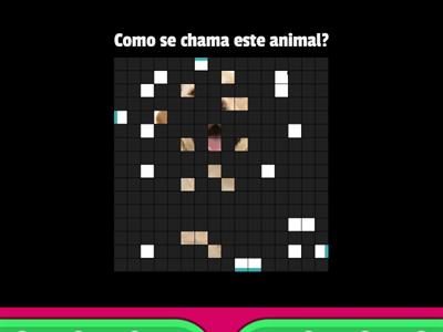 3. Adivinha o animal?