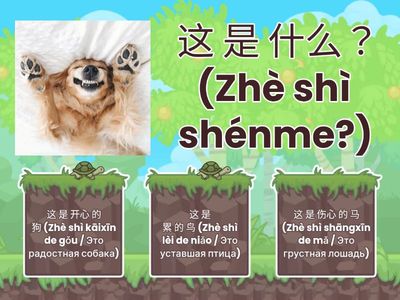 🖼️ 问答测验  (Wèndá cèyàn) – Викторина "Вопрос-Ответ"