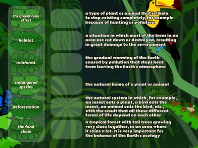 Nature and Environment