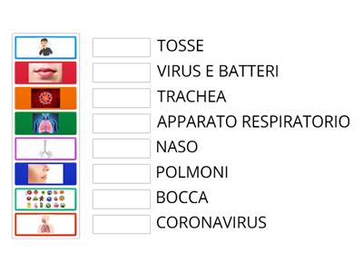 4.COLLEGA